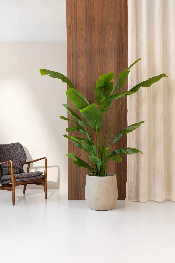 Studio Nous Femme Fem Schook 7